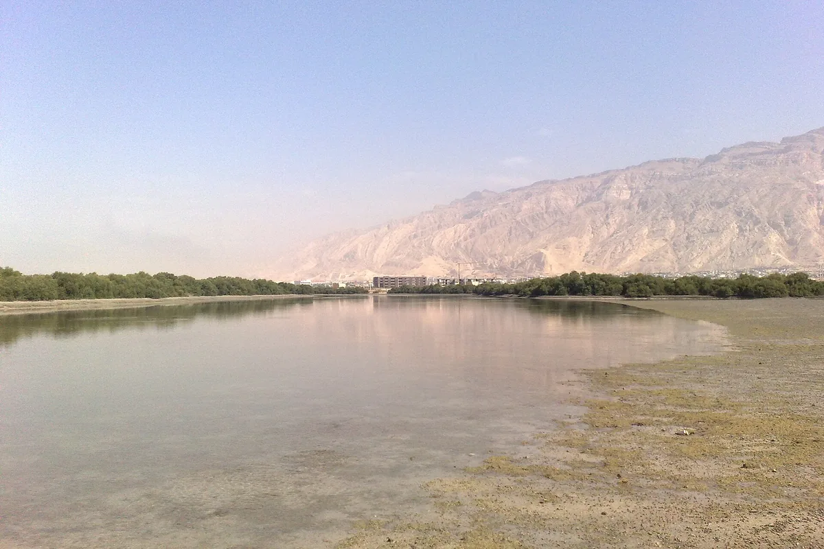 نمای نایبند